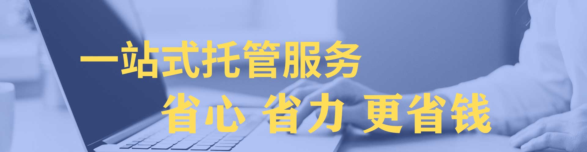 大树百度sem